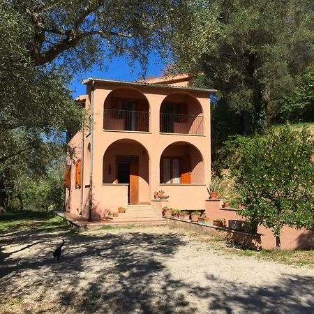 Argentella House Βίλα Palombara Sabina Εξωτερικό φωτογραφία