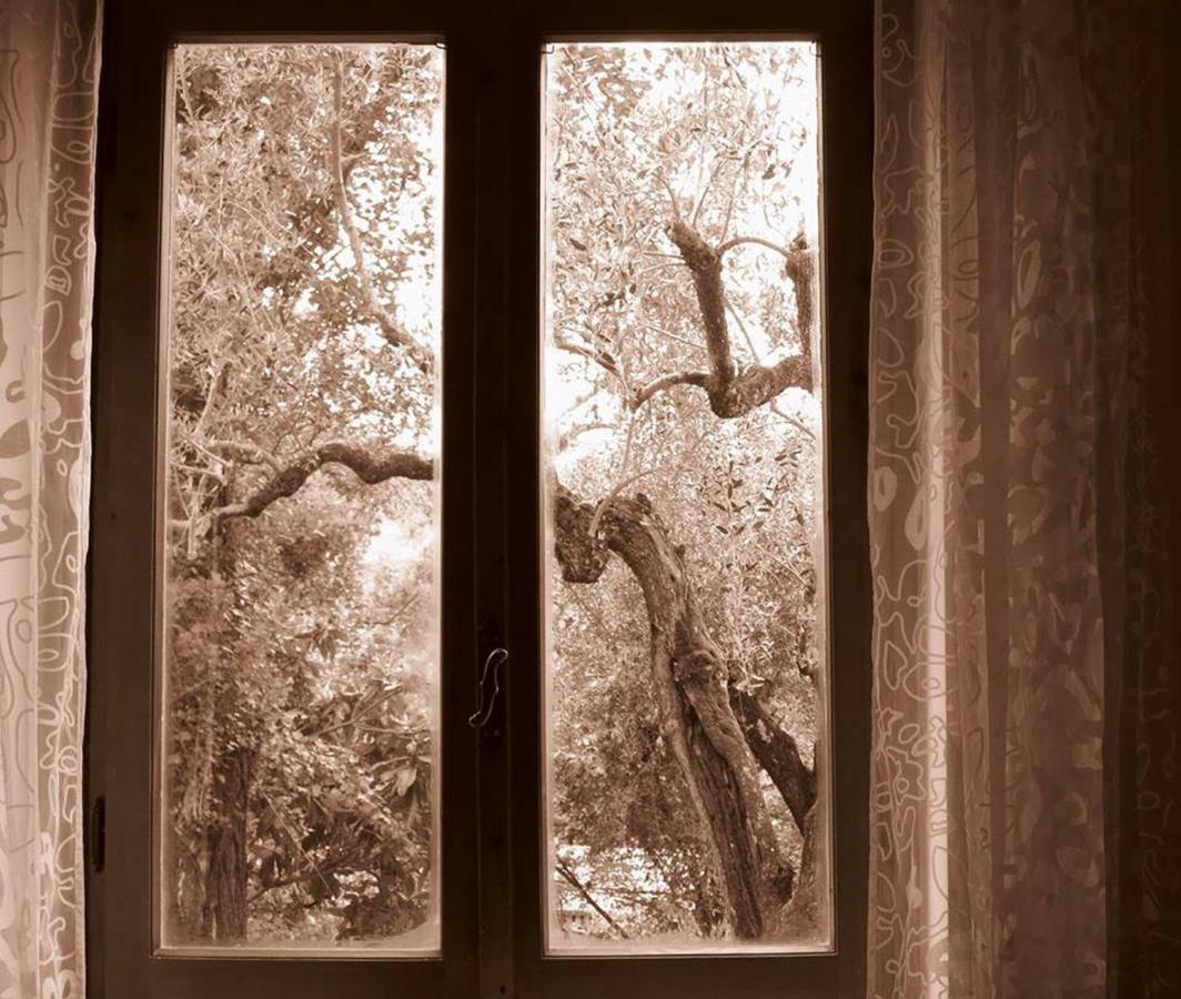 Argentella House Βίλα Palombara Sabina Εξωτερικό φωτογραφία